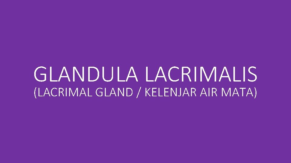 GLANDULA LACRIMALIS (LACRIMAL GLAND / KELENJAR AIR MATA) 