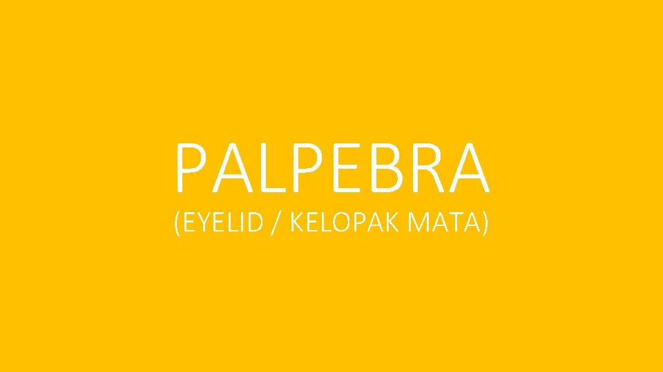 PALPEBRA (EYELID / KELOPAK MATA) 