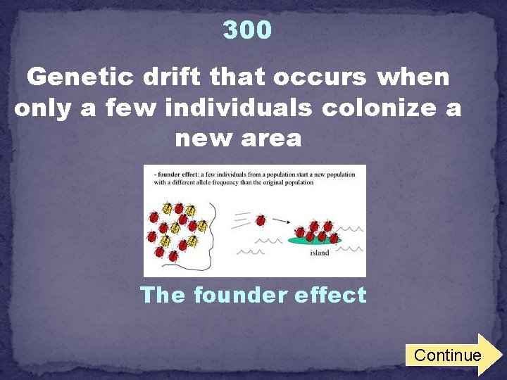 300 Genetic drift that occurs when only a few individuals colonize a new area