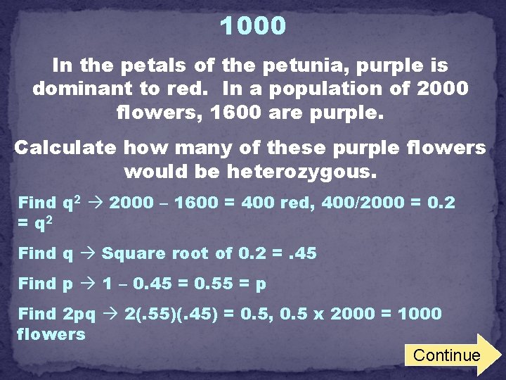 1000 In the petals of the petunia, purple is dominant to red. In a