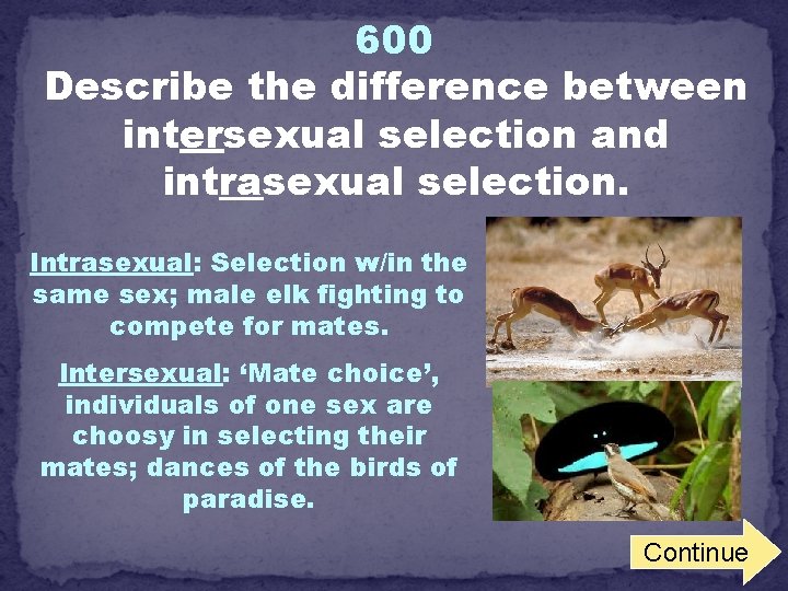 600 Describe the difference between intersexual selection and intrasexual selection. Intrasexual: Selection w/in the