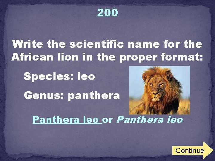 200 Write the scientific name for the African lion in the proper format: Species: