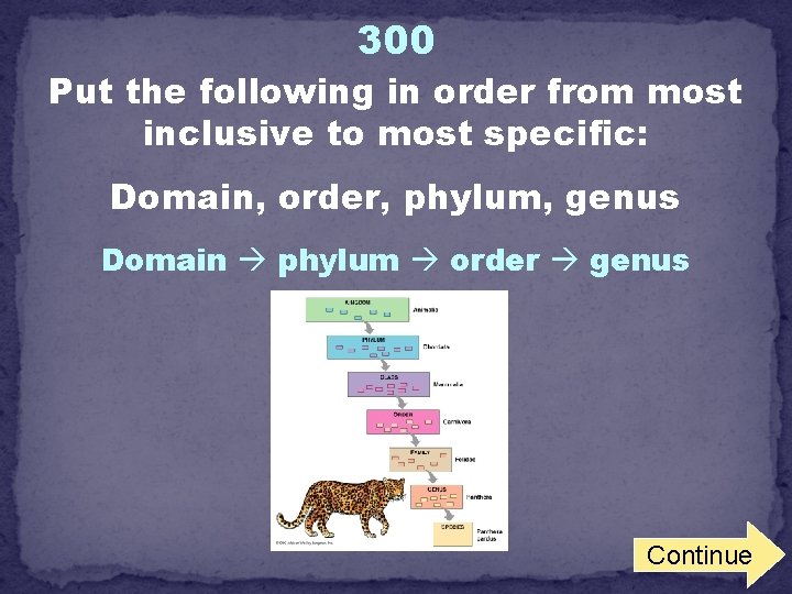 300 Put the following in order from most inclusive to most specific: Domain, order,