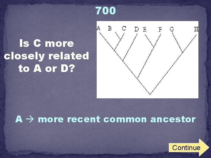 700 Is C more closely related to A or D? A more recent common