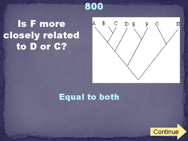 800 Is F more closely related to D or C? Equal to both Continue