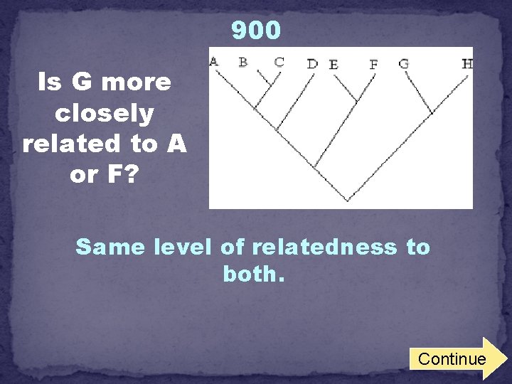 900 Is G more closely related to A or F? Same level of relatedness