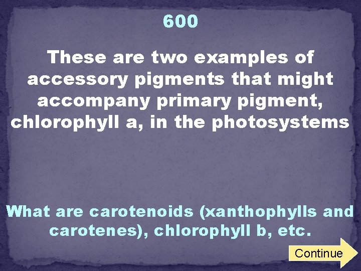 600 These are two examples of accessory pigments that might accompany primary pigment, chlorophyll