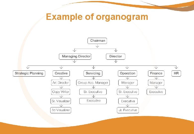 Example of organogram 