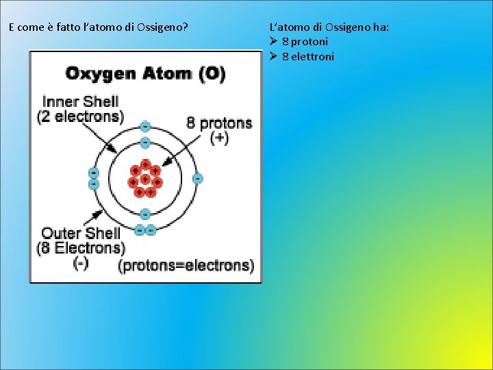 E come è fatto l’atomo di Ossigeno? L’atomo di Ossigeno ha: 8 protoni 8