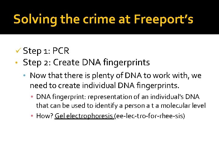 Solving the crime at Freeport’s ü Step 1: PCR • Step 2: Create DNA