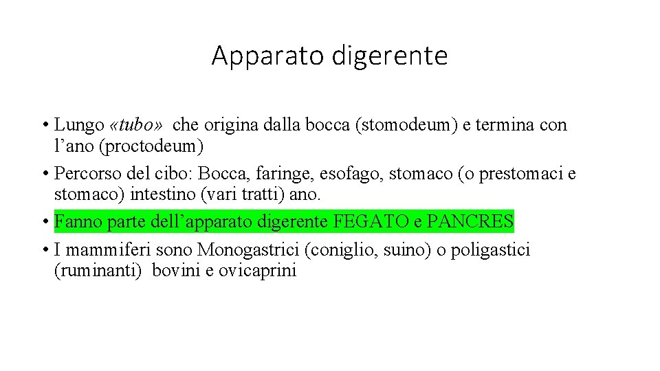 Apparato digerente • Lungo «tubo» che origina dalla bocca (stomodeum) e termina con l’ano