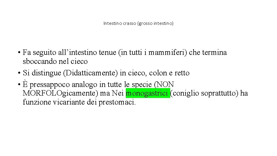 Intestino crasso (grosso intestino) • Fa seguito all’intestino tenue (in tutti i mammiferi) che