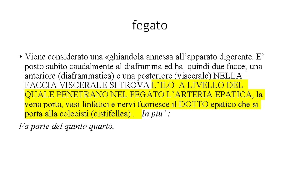 fegato • Viene considerato una «ghiandola annessa all’apparato digerente. E’ posto subito caudalmente al