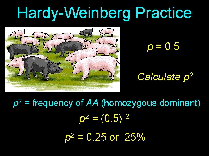 Hardy-Weinberg Practice p = 0. 5 Calculate p 2 = frequency of AA (homozygous