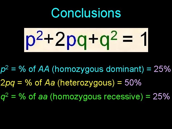 Conclusions p 2 = % of AA (homozygous dominant) = 25% 2 pq =