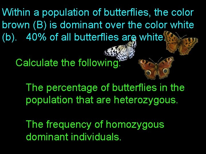 Within a population of butterflies, the color brown (B) is dominant over the color