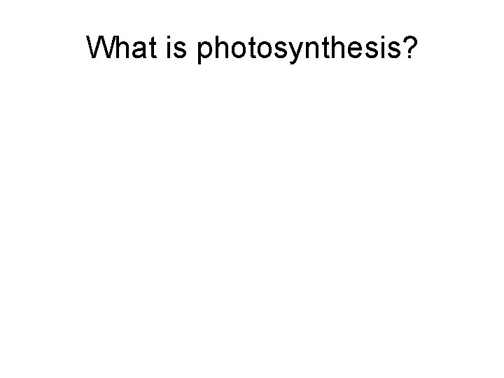 What is photosynthesis? 
