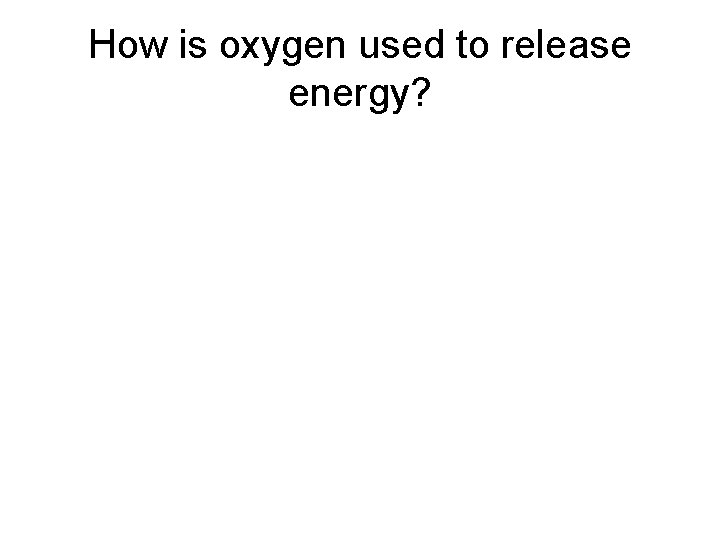 How is oxygen used to release energy? 