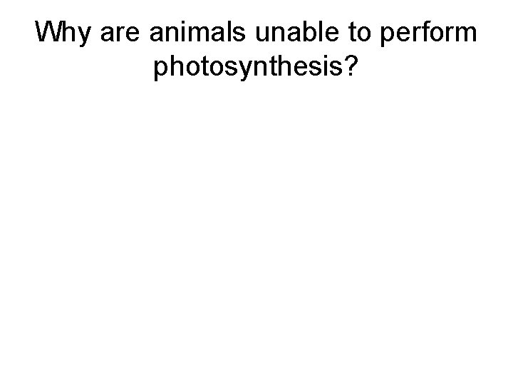Why are animals unable to perform photosynthesis? 