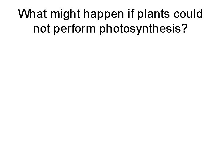 What might happen if plants could not perform photosynthesis? 