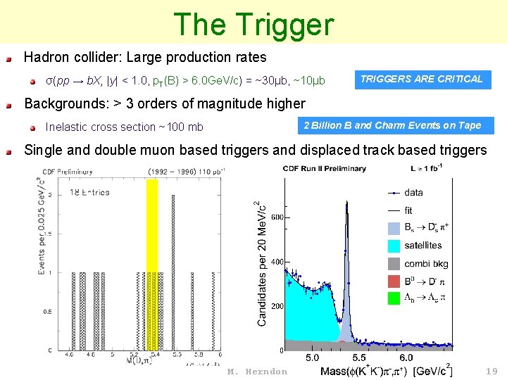 The Trigger Hadron collider: Large production rates σ(pp → b. X, |y| < 1.