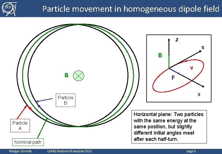 Particle movement in homogeneous dipole field CERN z s B v B F x