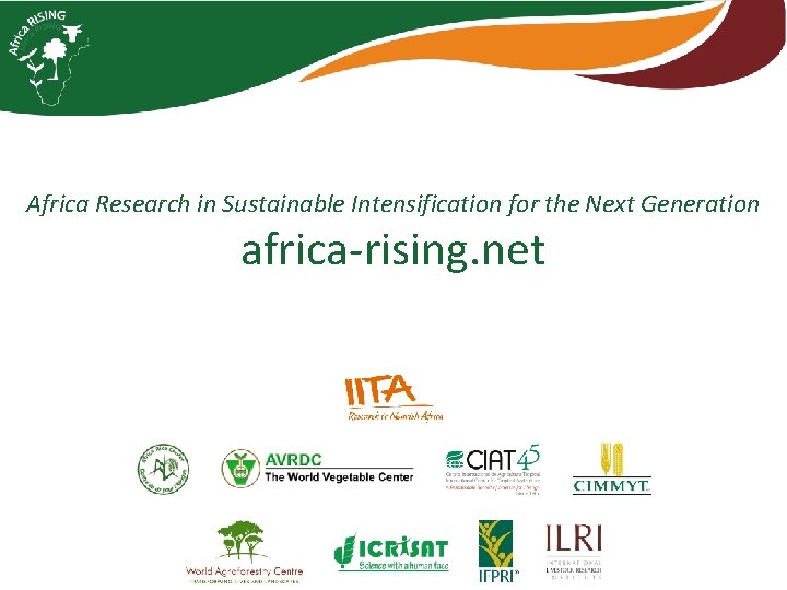 Africa Research in Sustainable Intensification for the Next Generation africa-rising. net 