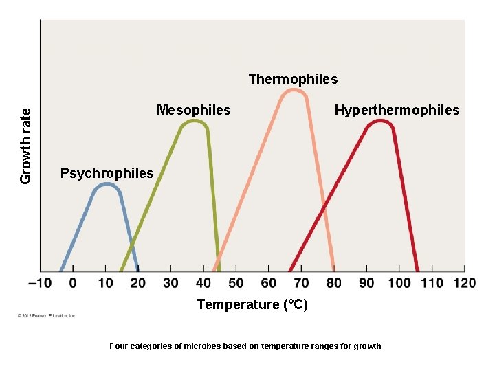 Growth rate Thermophiles Mesophiles Hyperthermophiles Psychrophiles Temperature (°C) Four categories of microbes based on