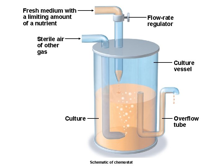 Fresh medium with a limiting amount of a nutrient Flow-rate regulator Sterile air of