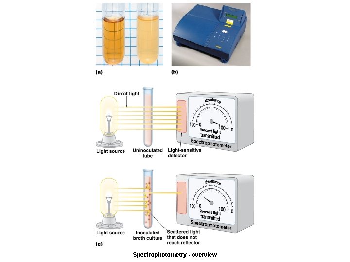 Spectrophotometry - overview 