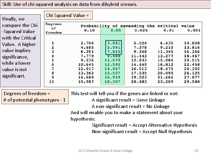 Skill: Use of chi-squared analysis on data from dihybrid crosses. Finally, we compare the