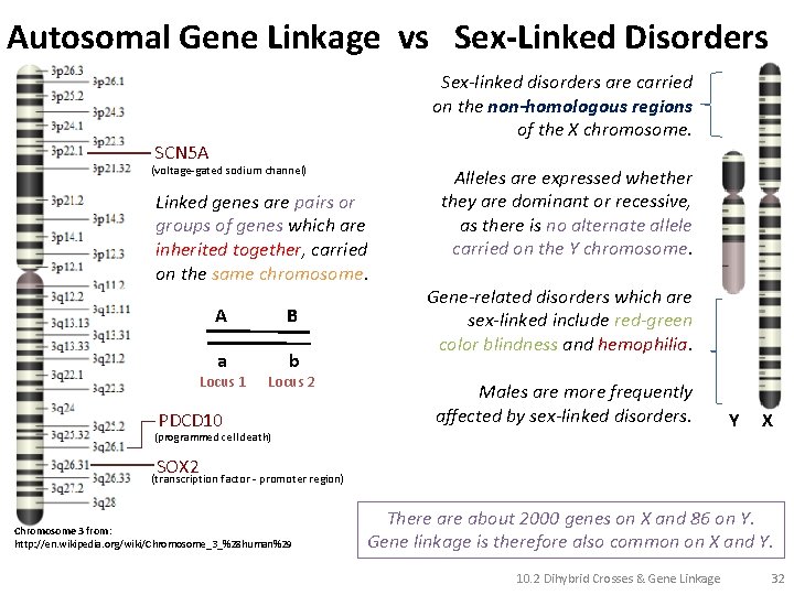Autosomal Gene Linkage vs Sex-Linked Disorders Sex-linked disorders are carried on the non-homologous regions
