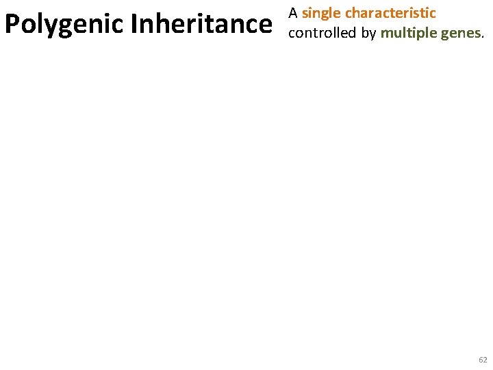 Polygenic Inheritance A single characteristic controlled by multiple genes. 62 