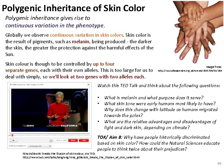 Polygenic Inheritance of Skin Color Polygenic inheritance gives rise to continuous variation in the