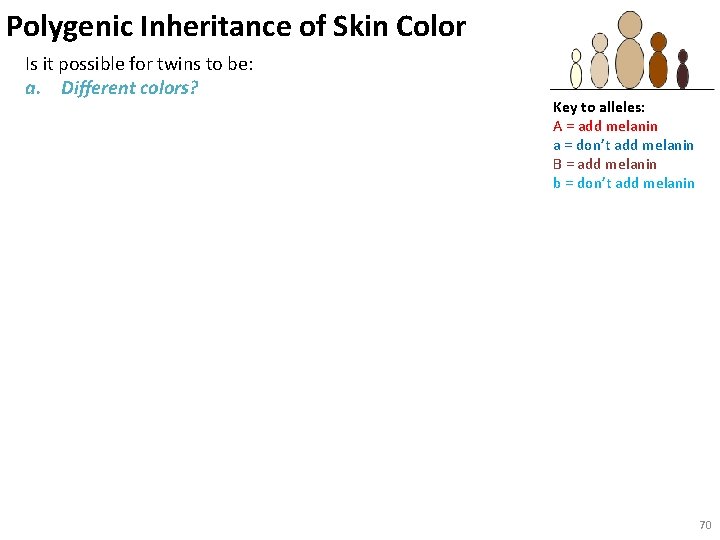 Polygenic Inheritance of Skin Color Is it possible for twins to be: a. Different