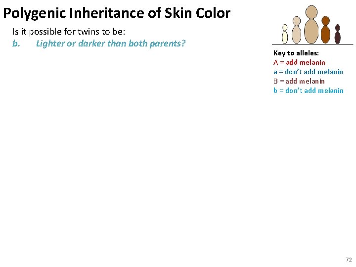 Polygenic Inheritance of Skin Color Is it possible for twins to be: b. Lighter