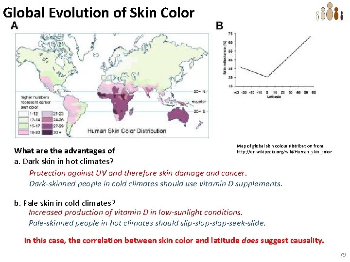 Global Evolution of Skin Color Map of global skin colour distribution from: What are