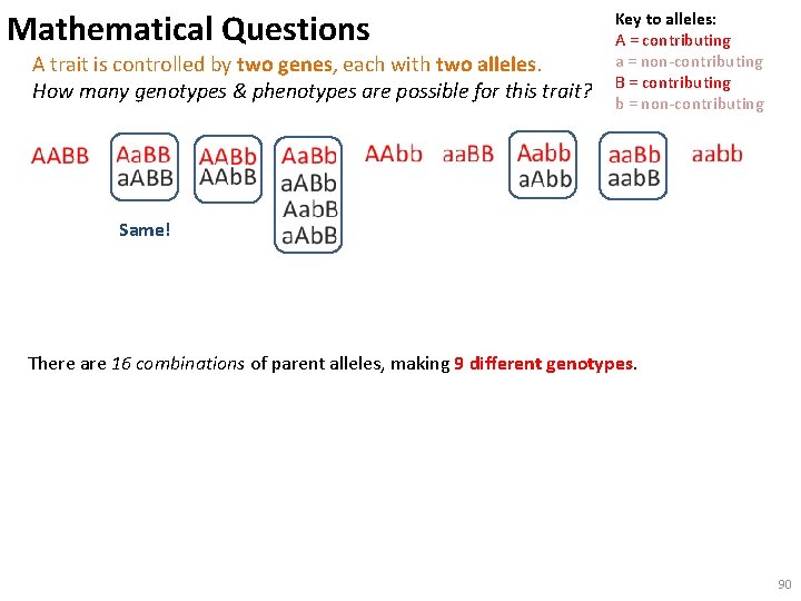 Mathematical Questions A trait is controlled by two genes, each with two alleles. How