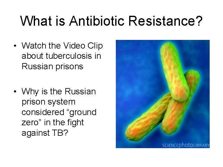 What is Antibiotic Resistance? • Watch the Video Clip about tuberculosis in Russian prisons