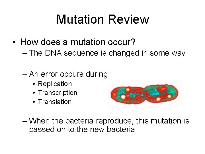 Mutation Review • How does a mutation occur? – The DNA sequence is changed