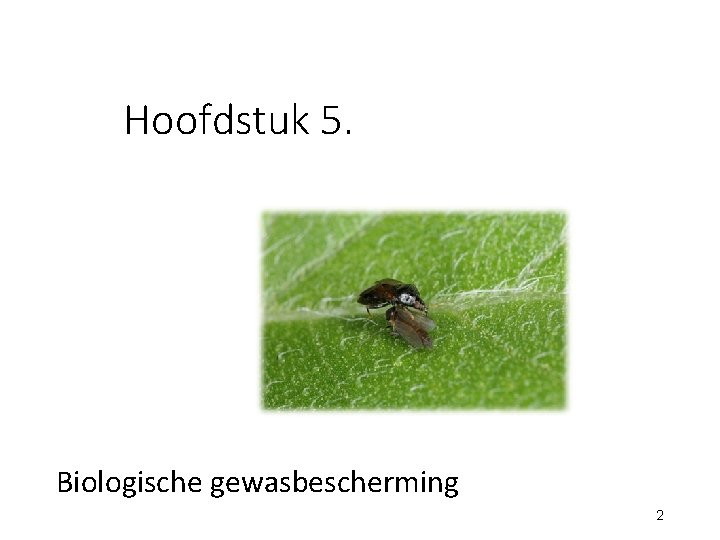 Hoofdstuk 5. Biologische gewasbescherming 2 