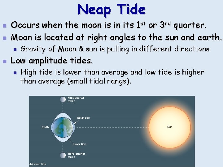Neap Tide n n Occurs when the moon is in its 1 st or