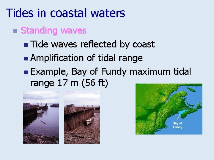 Tides in coastal waters n Standing waves n Tide waves reflected by coast n