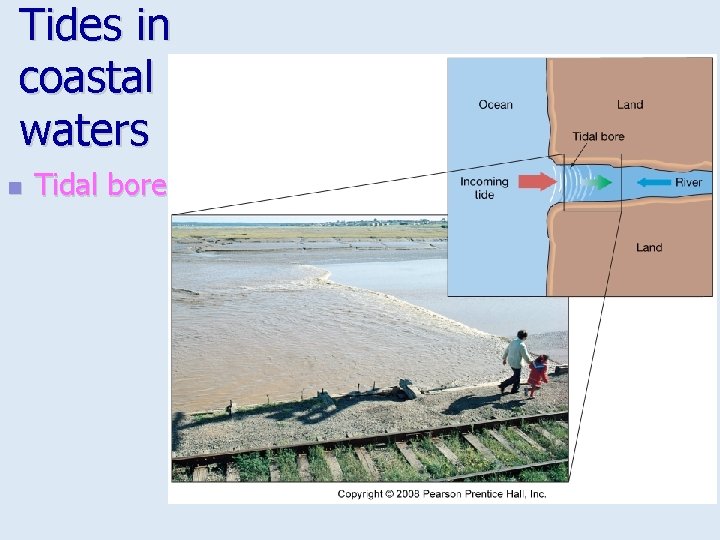 Tides in coastal waters n Tidal bore 