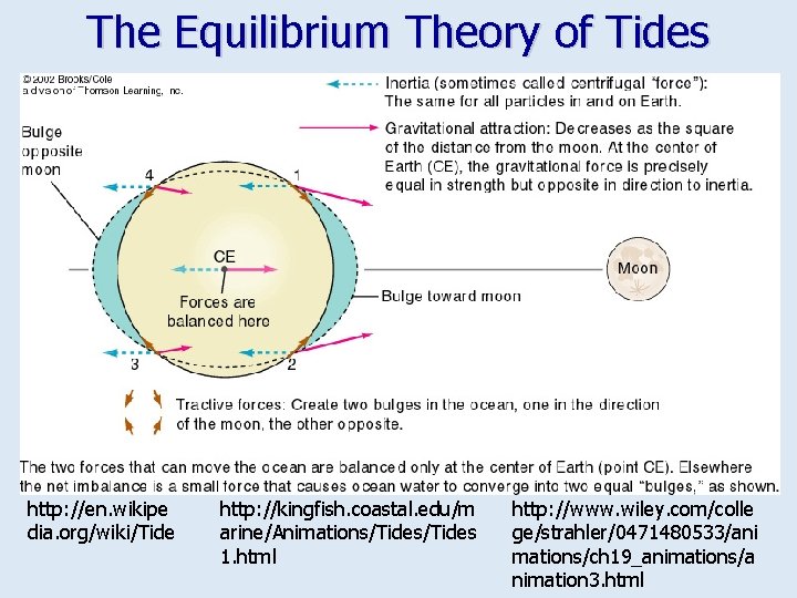 The Equilibrium Theory of Tides http: //en. wikipe dia. org/wiki/Tide http: //kingfish. coastal. edu/m