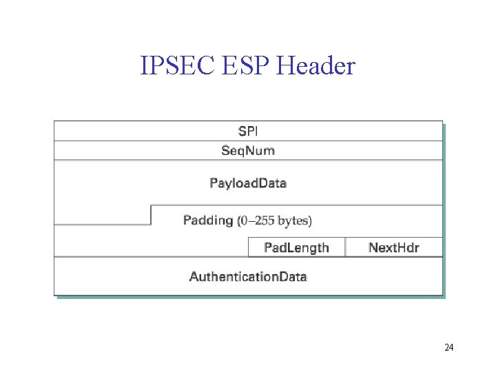 IPSEC ESP Header 24 