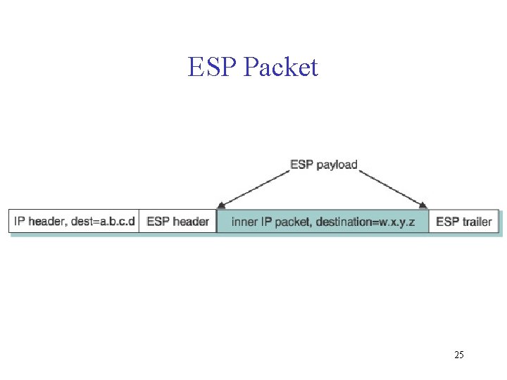 ESP Packet 25 