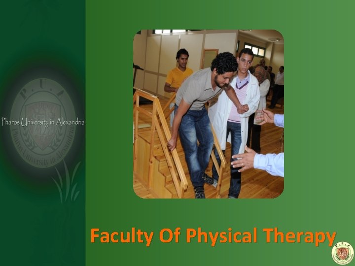 Faculty Of Physical Therapy 