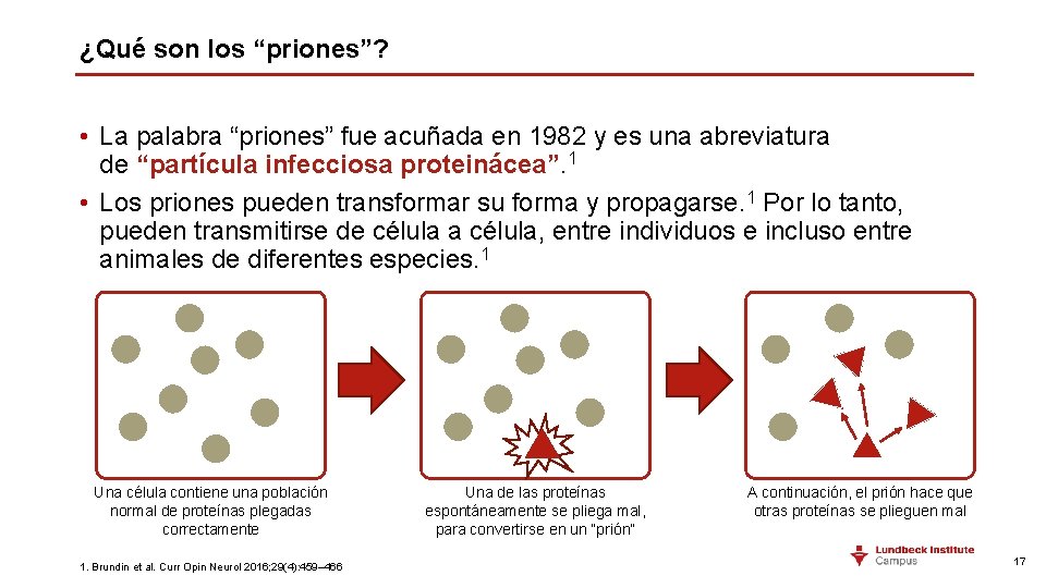 ¿Qué son los “priones”? • La palabra “priones” fue acuñada en 1982 y es