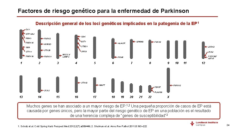 Factores de riesgo genético para la enfermedad de Parkinson Descripción general de los loci